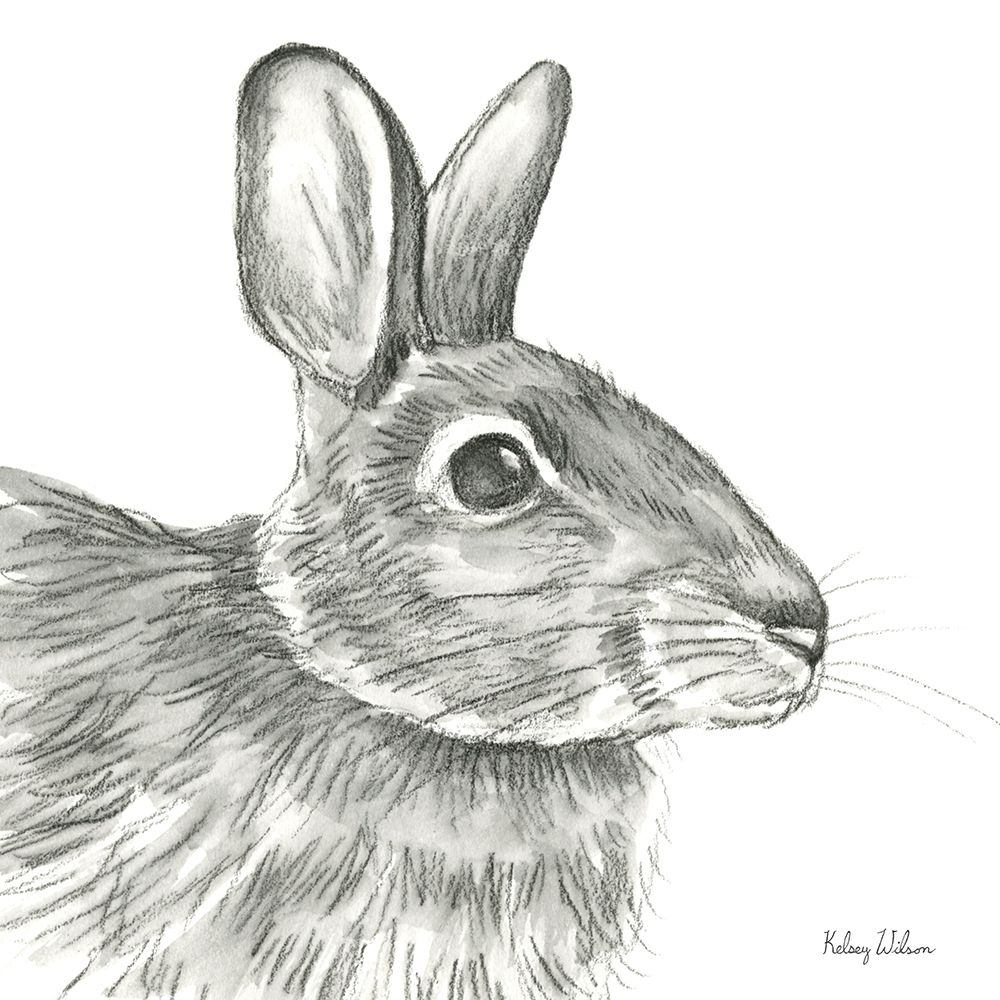 Watercolor Pencil Forest II-Rabbit art print by Kelsey Wilson for $57.95 CAD