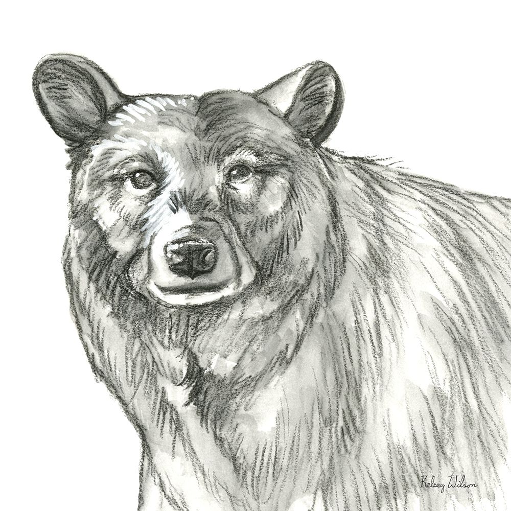 Watercolor Pencil Forest V-Bear art print by Kelsey Wilson for $57.95 CAD