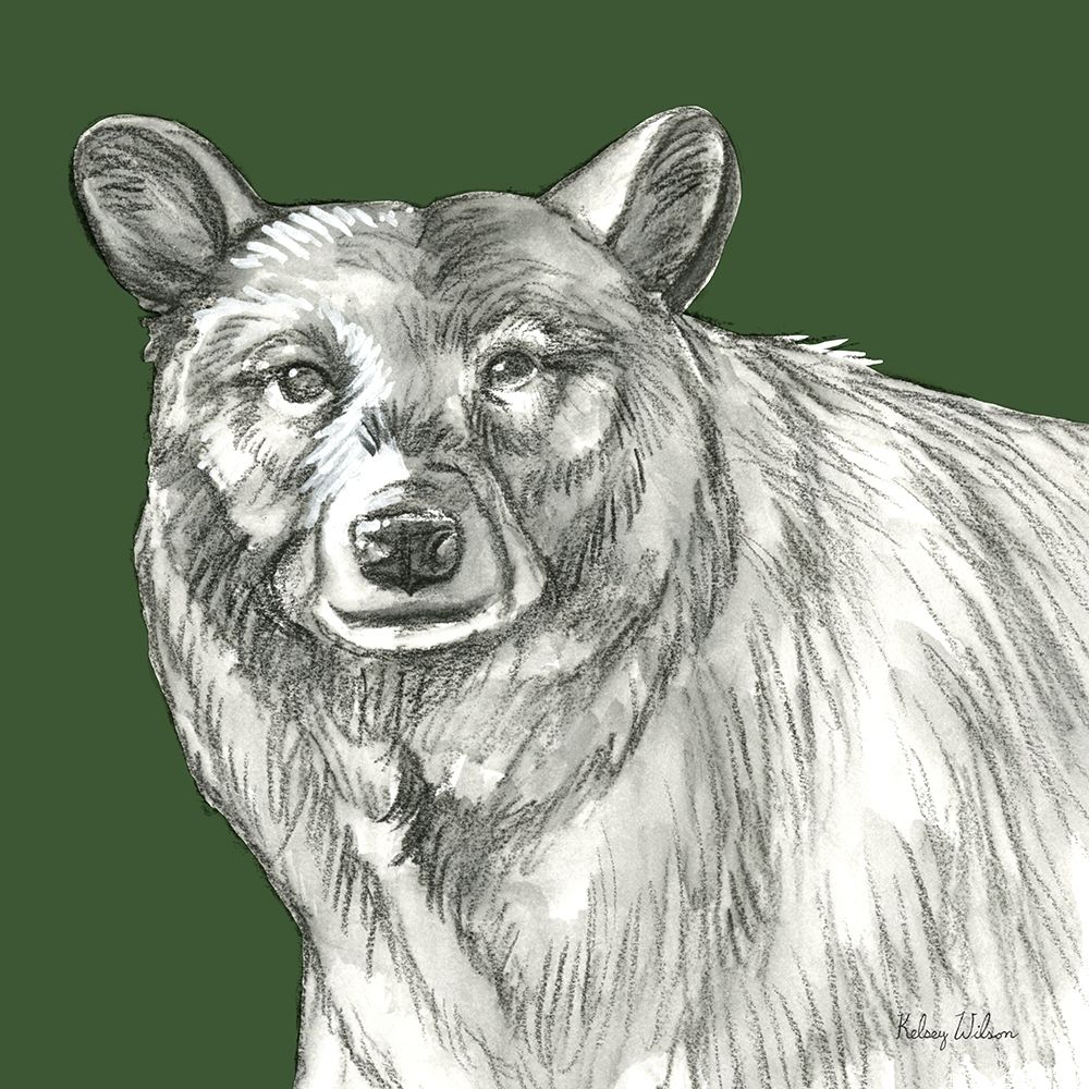 Watercolor Pencil Forest color V-Bear art print by Kelsey Wilson for $57.95 CAD