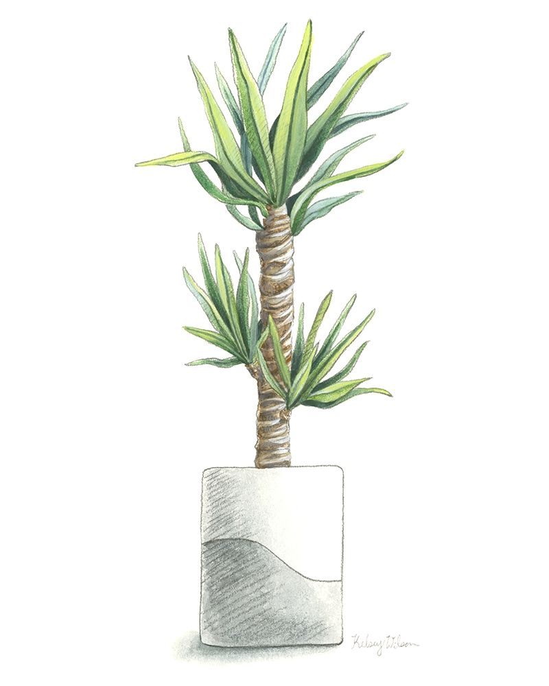 Potted Exotics III art print by Kelsey Wilson for $57.95 CAD