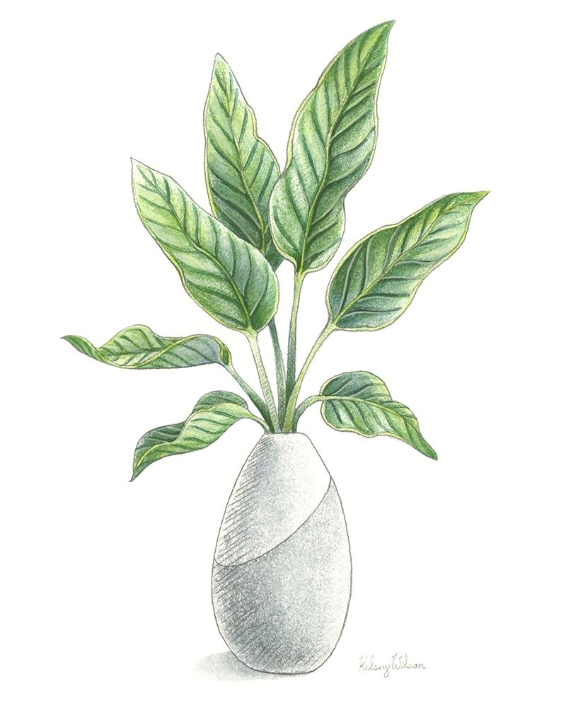 Potted Exotics IV art print by Kelsey Wilson for $57.95 CAD