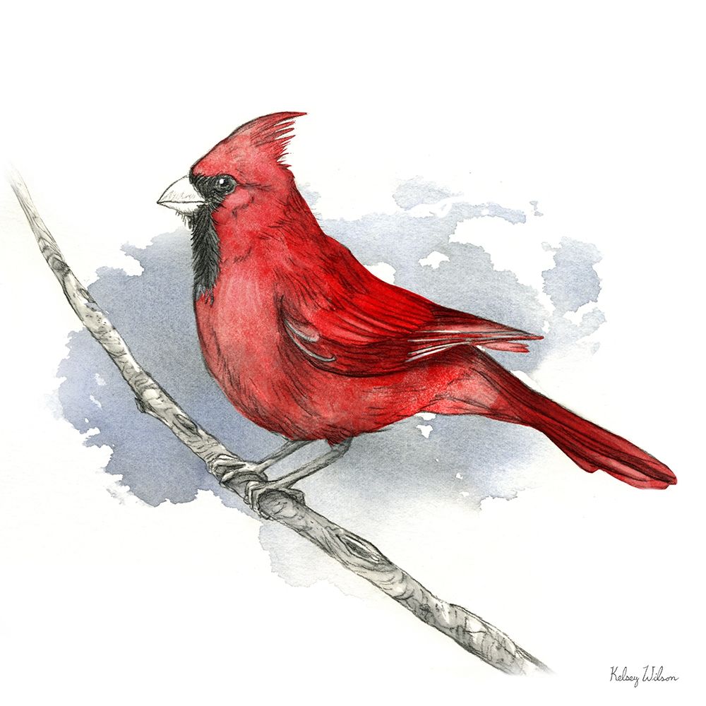 Birds And Branches I-Cardinal art print by Kelsey Wilson for $57.95 CAD