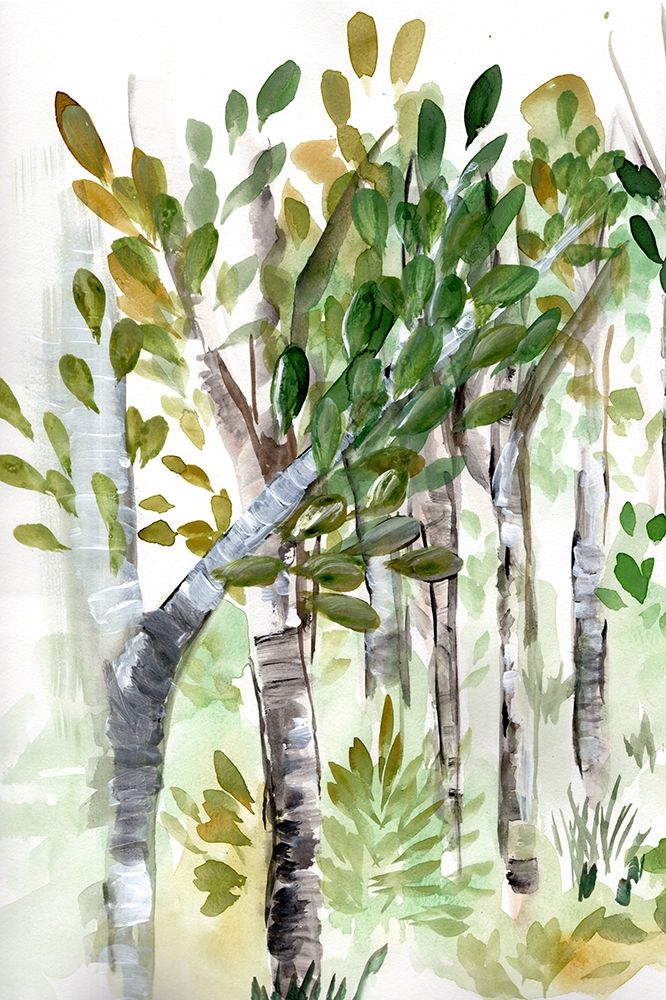 Birch Forest I art print by Marcy Chapman for $57.95 CAD