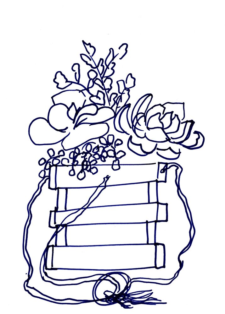 Hand Sketch Hanging Succulents blue art print by Marcy Chapman for $57.95 CAD
