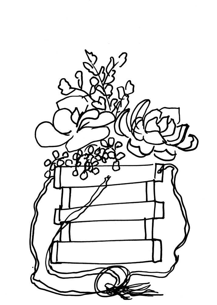 Hand Sketch Hanging Succulents black art print by Marcy Chapman for $57.95 CAD