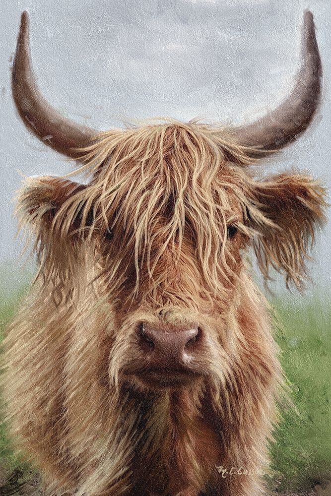 Highland portrait II art print by Marie-Elaine Cusson for $57.95 CAD