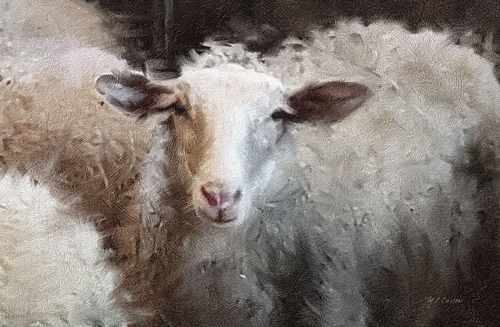 Sheeps Flock art print by Marie-Elaine Cusson for $57.95 CAD