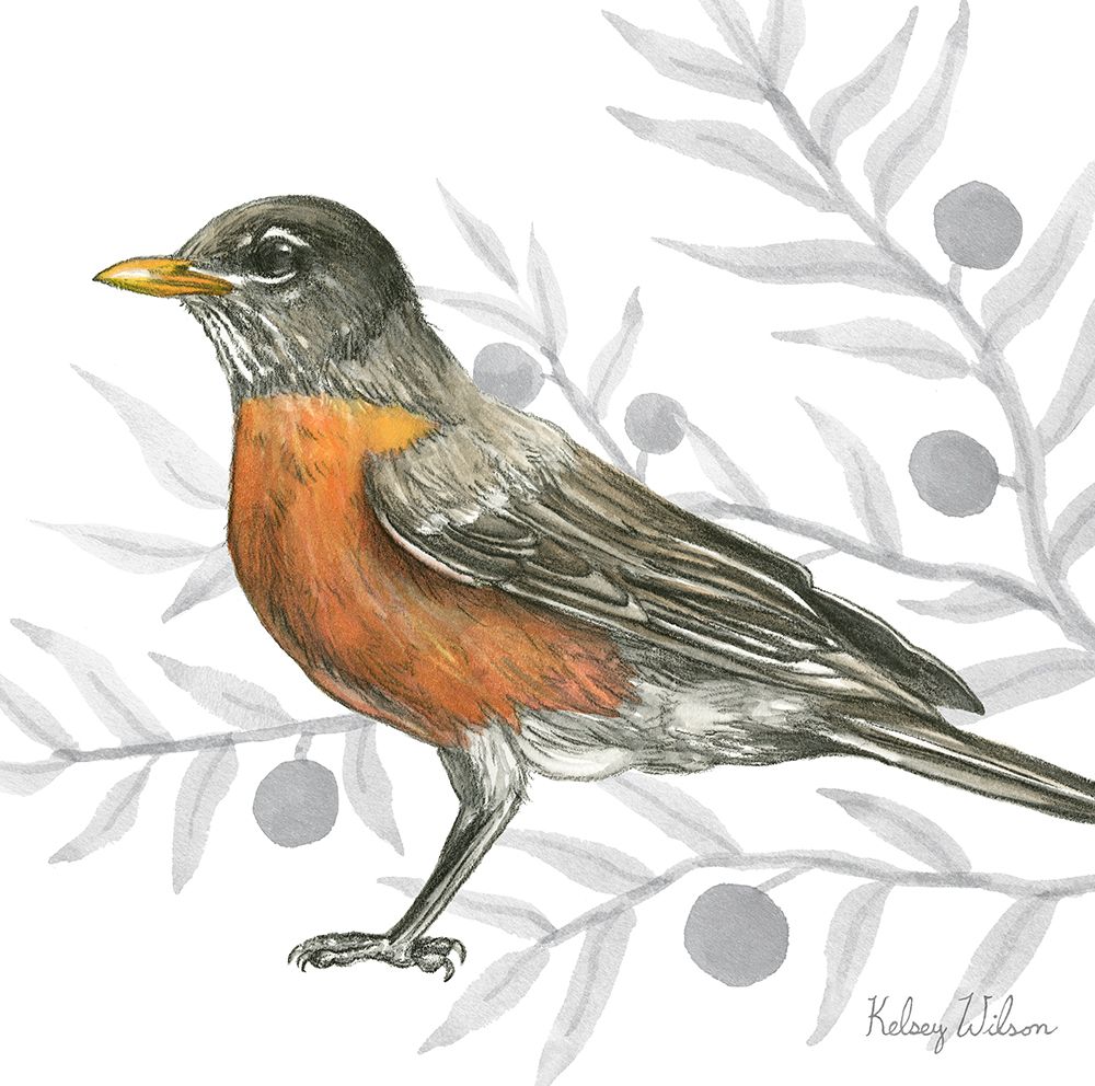Backyard Birds VI-Robin art print by Kelsey Wilson for $57.95 CAD
