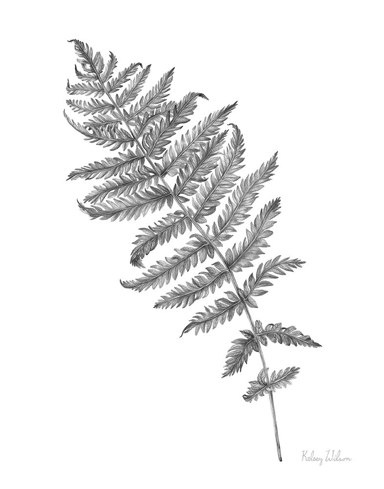 Neutral Fern I art print by Kelsey Wilson for $57.95 CAD