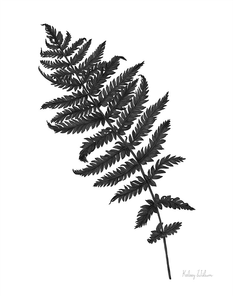 Neutral Fern black I art print by Kelsey Wilson for $57.95 CAD