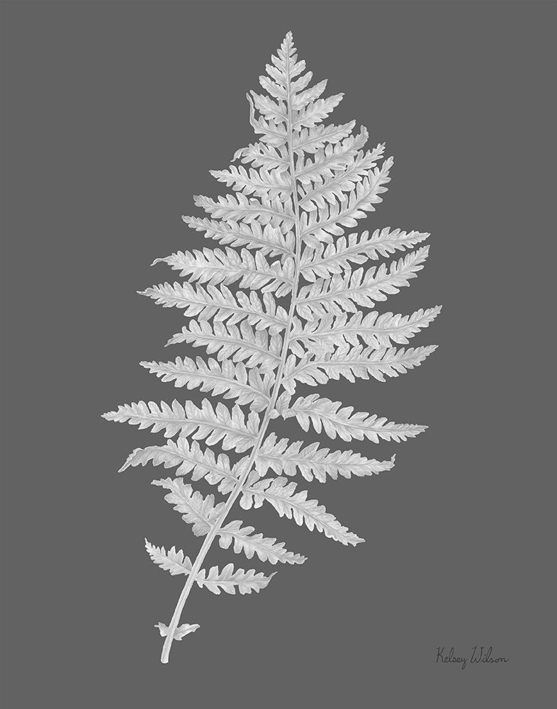 Neutral Fern on grey II art print by Kelsey Wilson for $57.95 CAD
