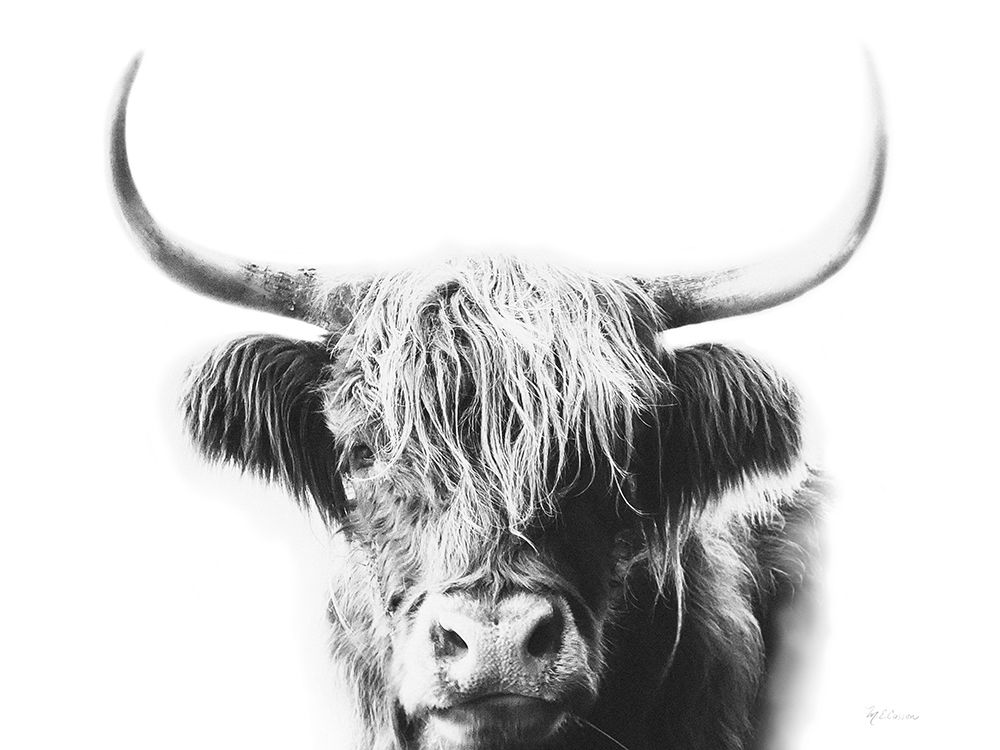 My Highland I art print by Marie-Elaine Cusson for $57.95 CAD