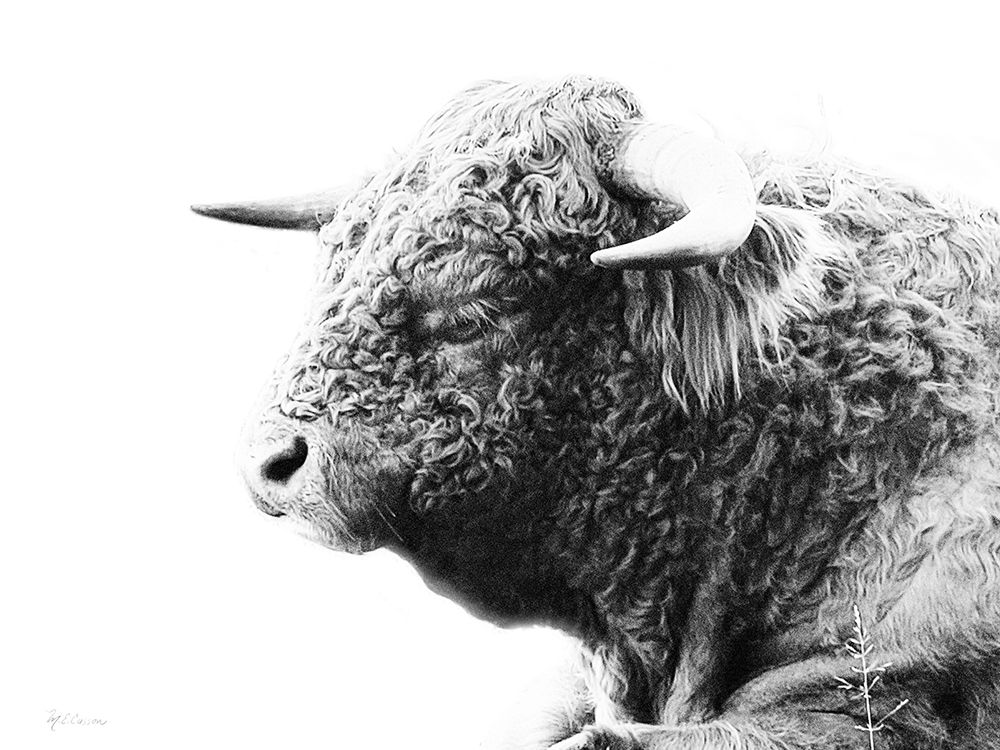My Highland II art print by Marie-Elaine Cusson for $57.95 CAD