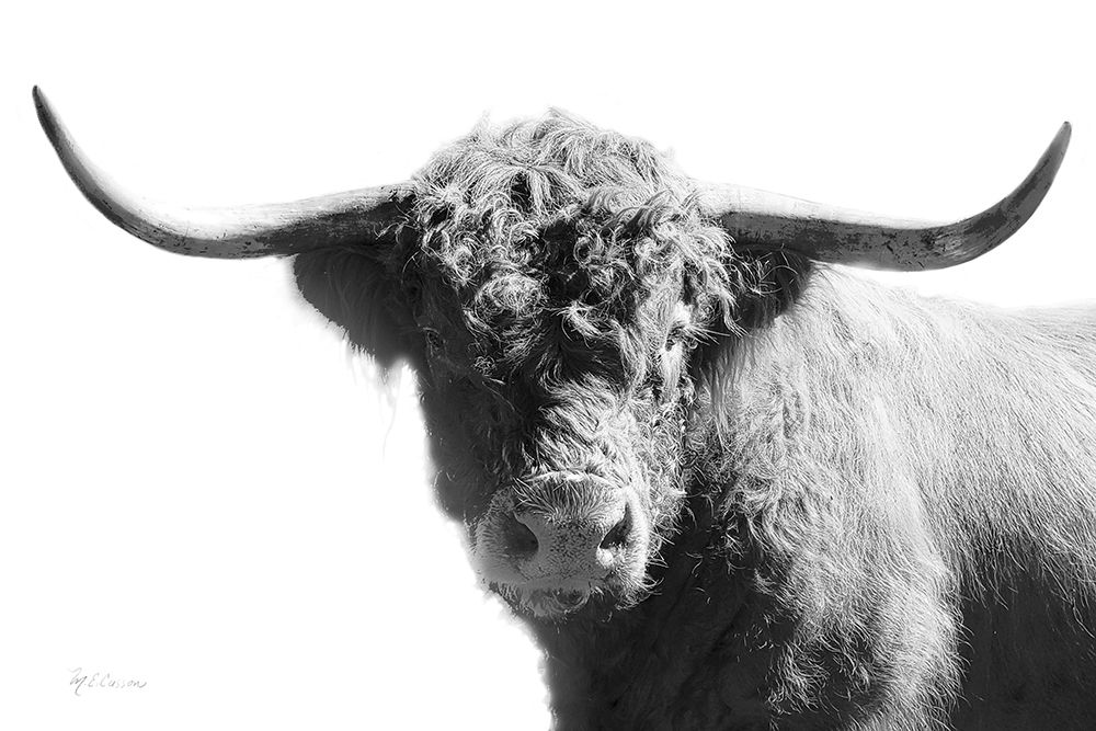 My Highland IV art print by Marie-Elaine Cusson for $57.95 CAD
