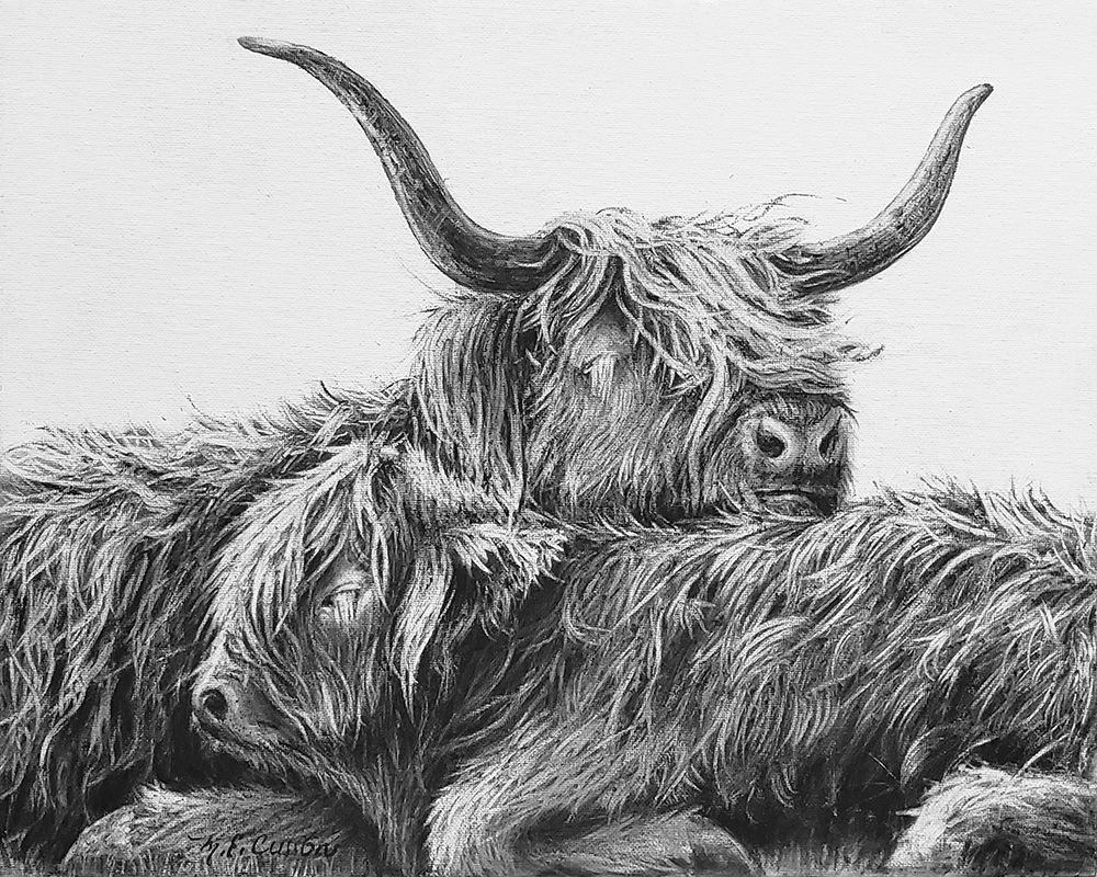 My Highland V art print by Marie-Elaine Cusson for $57.95 CAD