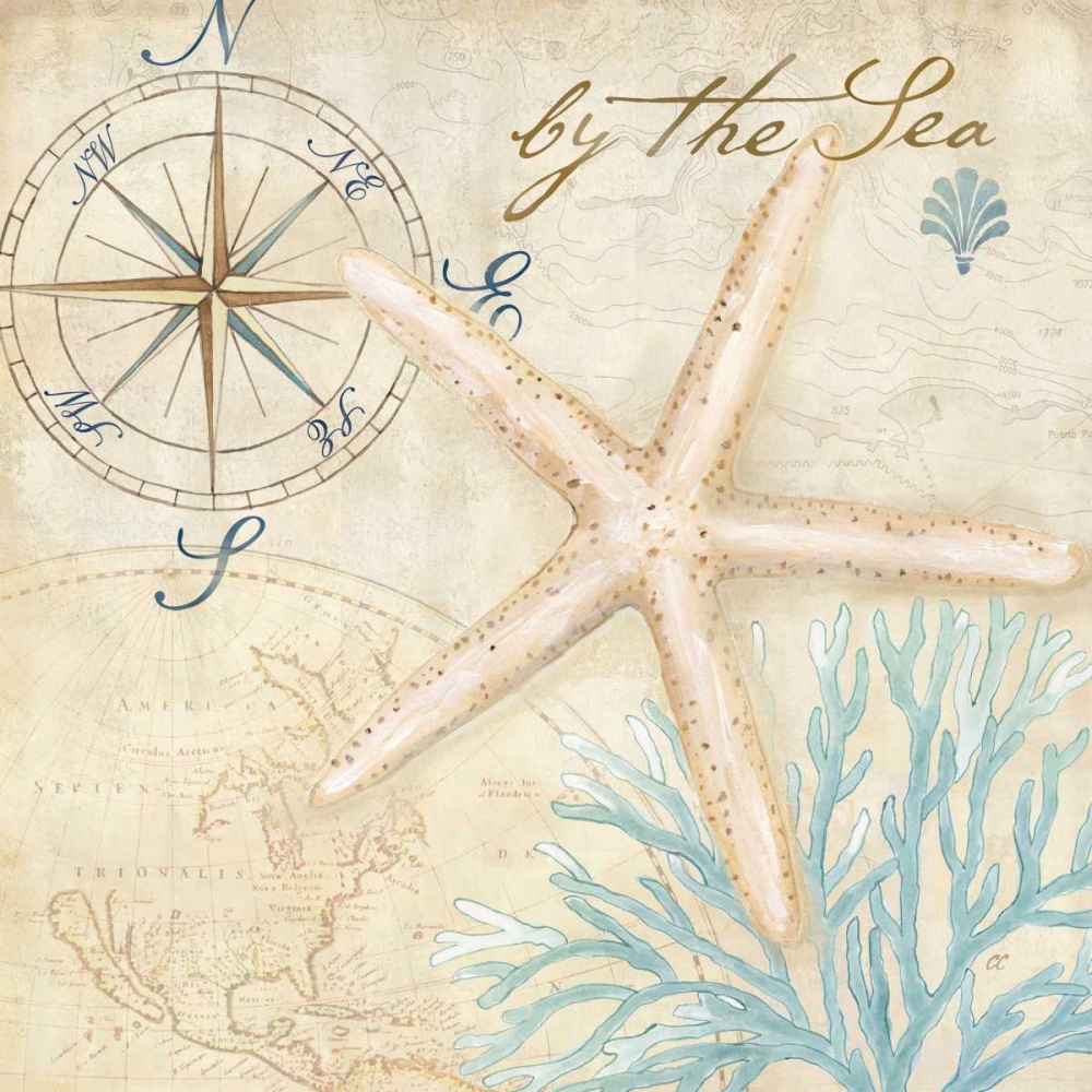 Nautical Shells I art print by Cynthia Coulter for $57.95 CAD