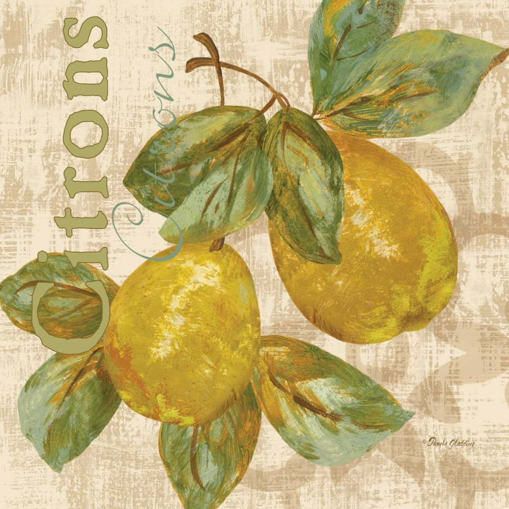 Rustic Fruit III art print by Pamela Gladding for $57.95 CAD