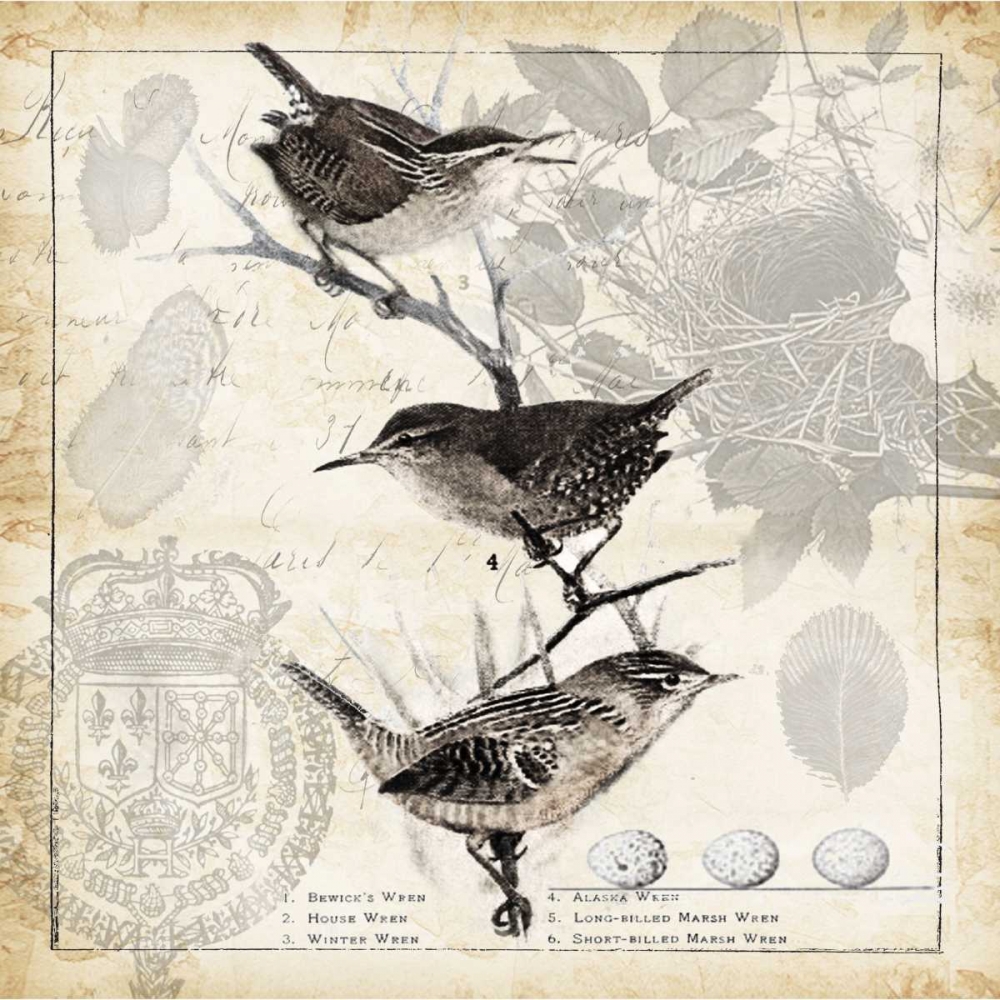 Botanical Birds Black Cream I art print by Tre Sorelle Studios for $57.95 CAD