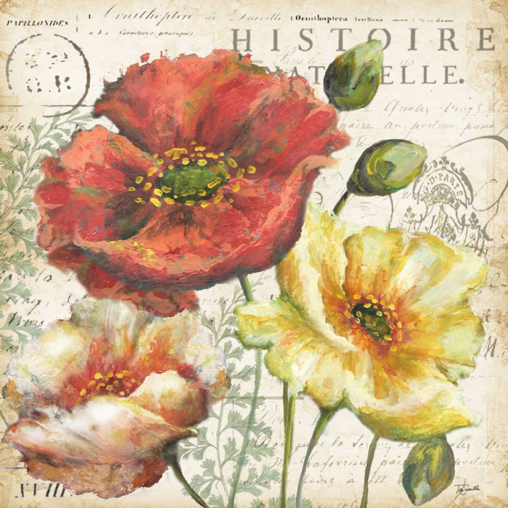 Spice Poppies Histoire Naturelle I art print by Tre Sorelle Studios for $57.95 CAD