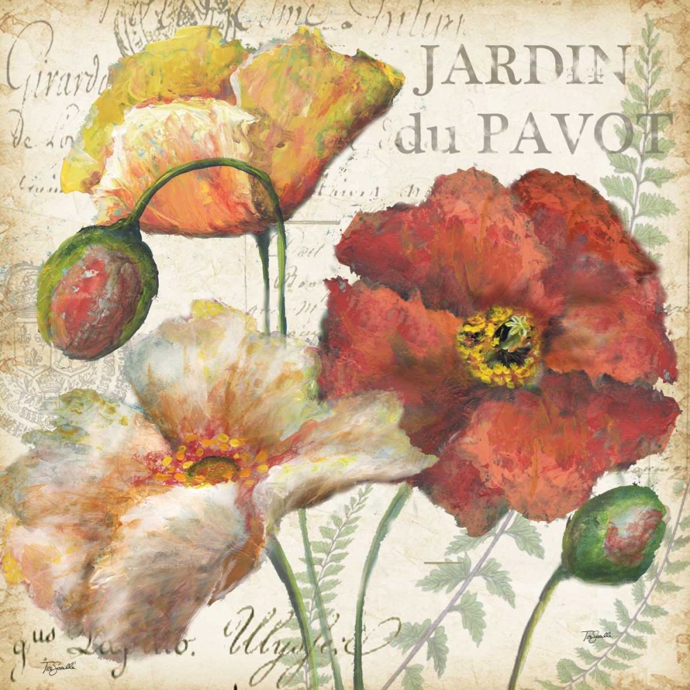 Spice Poppies Histoire Naturelle II art print by Tre Sorelle Studios for $57.95 CAD