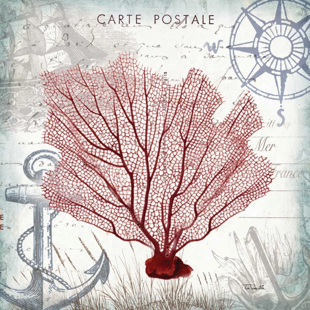 Coastal Sea Life I art print by Tre Sorelle Studios for $57.95 CAD