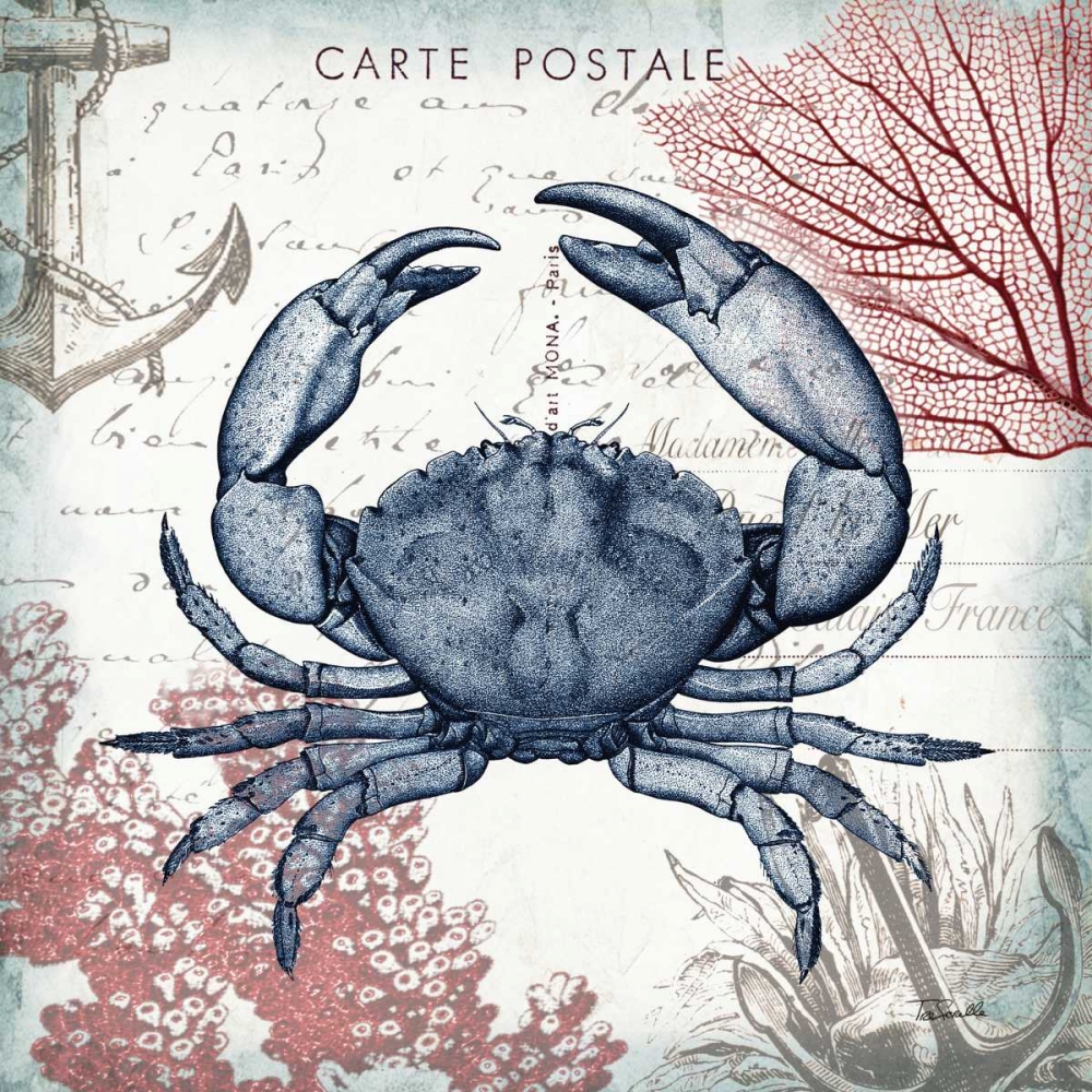 Coastal Sea Life II art print by Tre Sorelle Studios for $57.95 CAD