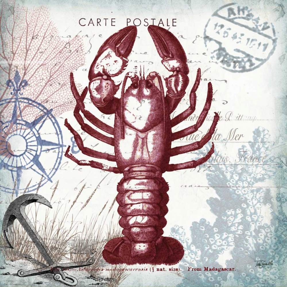 Coastal Sea Life III art print by Tre Sorelle Studios for $57.95 CAD