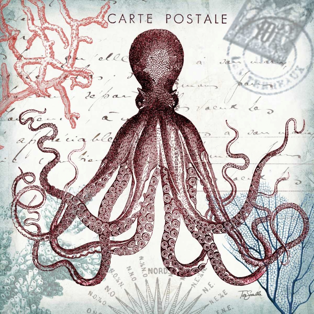 Coastal Sea Life IV art print by Tre Sorelle Studios for $57.95 CAD