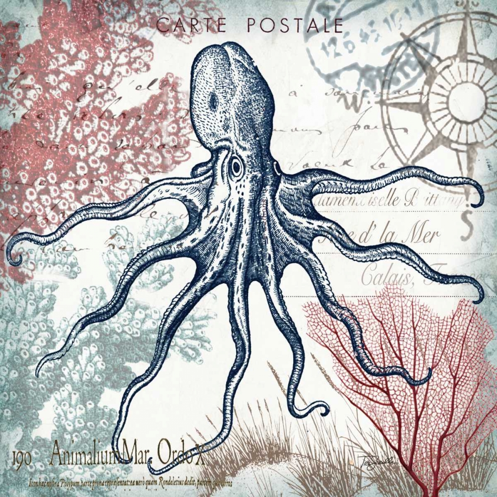 Coastal Sea Life V art print by Tre Sorelle Studios for $57.95 CAD