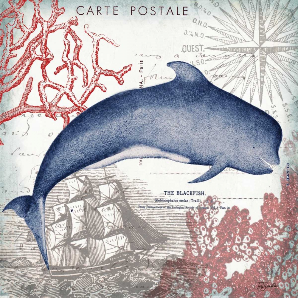 Coastal Sea Life VI art print by Tre Sorelle Studios for $57.95 CAD