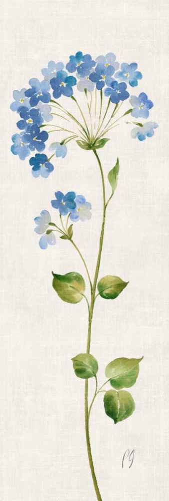 Airy Blues II art print by Pamela Gladding for $57.95 CAD