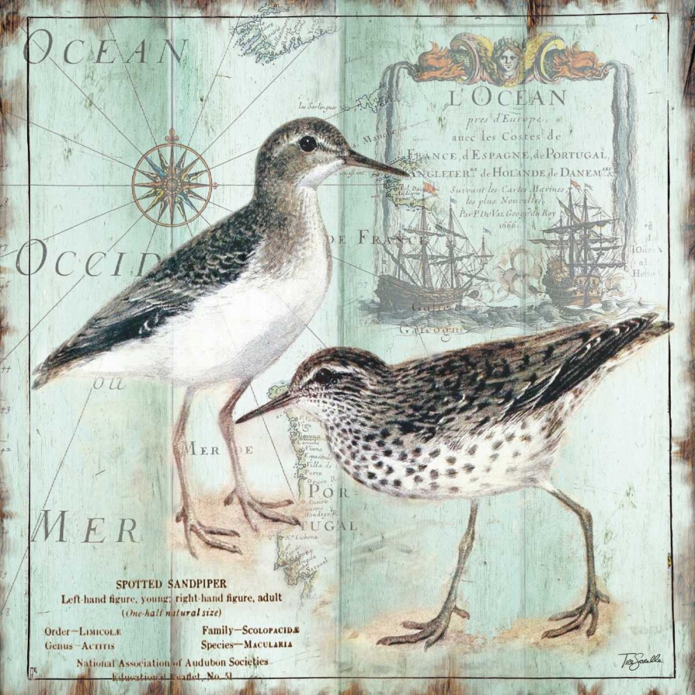 Antique La Mer VI art print by Tre Sorelle Studios for $57.95 CAD