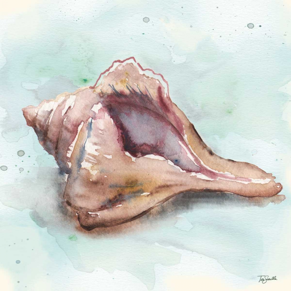 Watercolor Shells III art print by Tre Sorelle Studios for $57.95 CAD