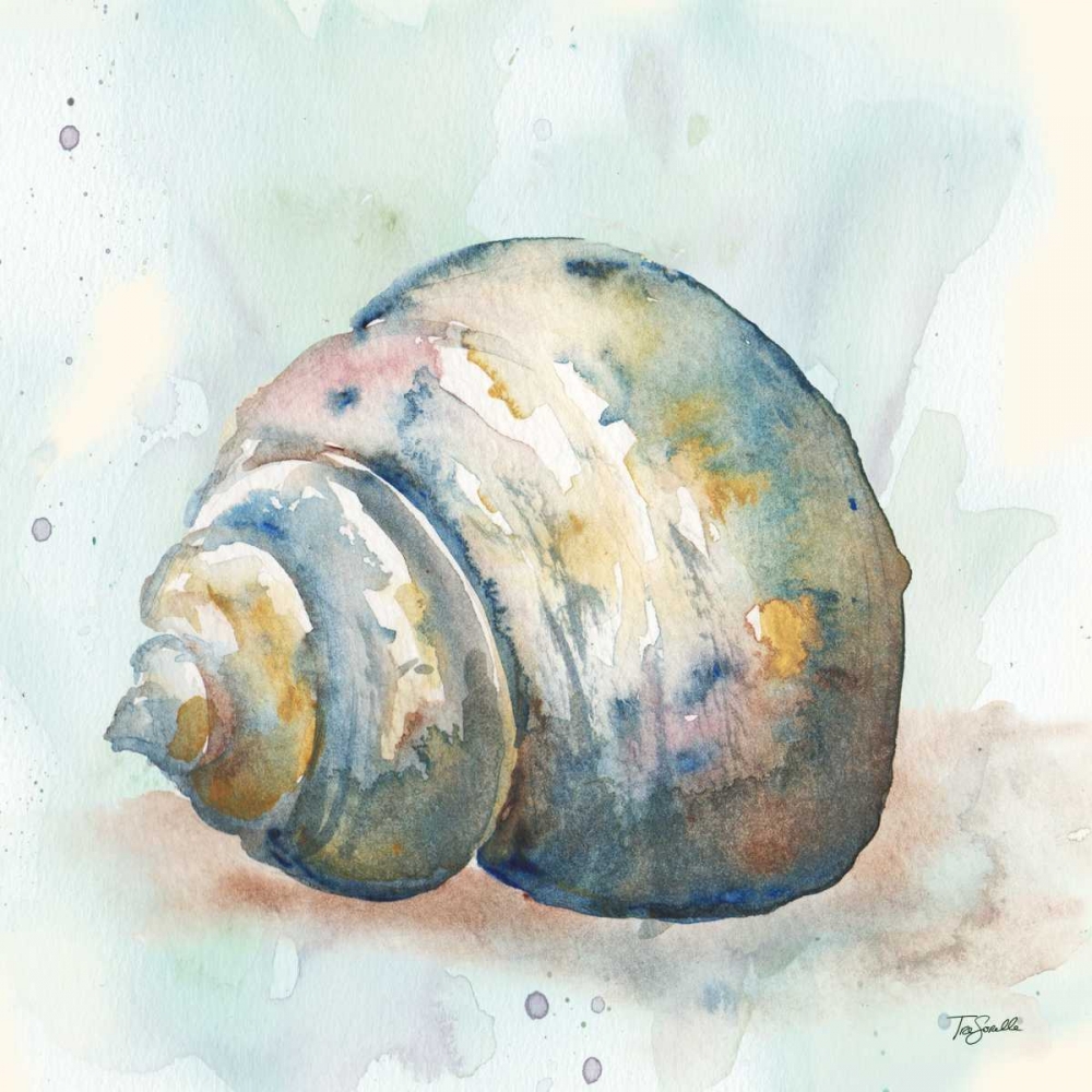 Watercolor Shells IV art print by Tre Sorelle Studios for $57.95 CAD