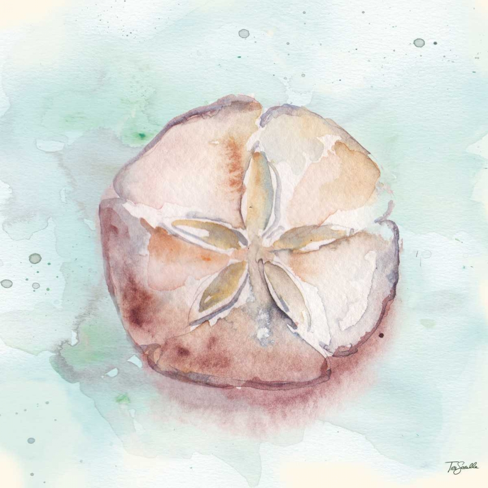 Watercolor Shells V art print by Tre Sorelle Studios for $57.95 CAD