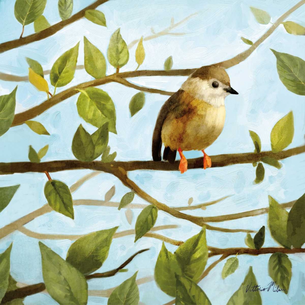 Morning Song I art print by Vittorio Milan for $57.95 CAD