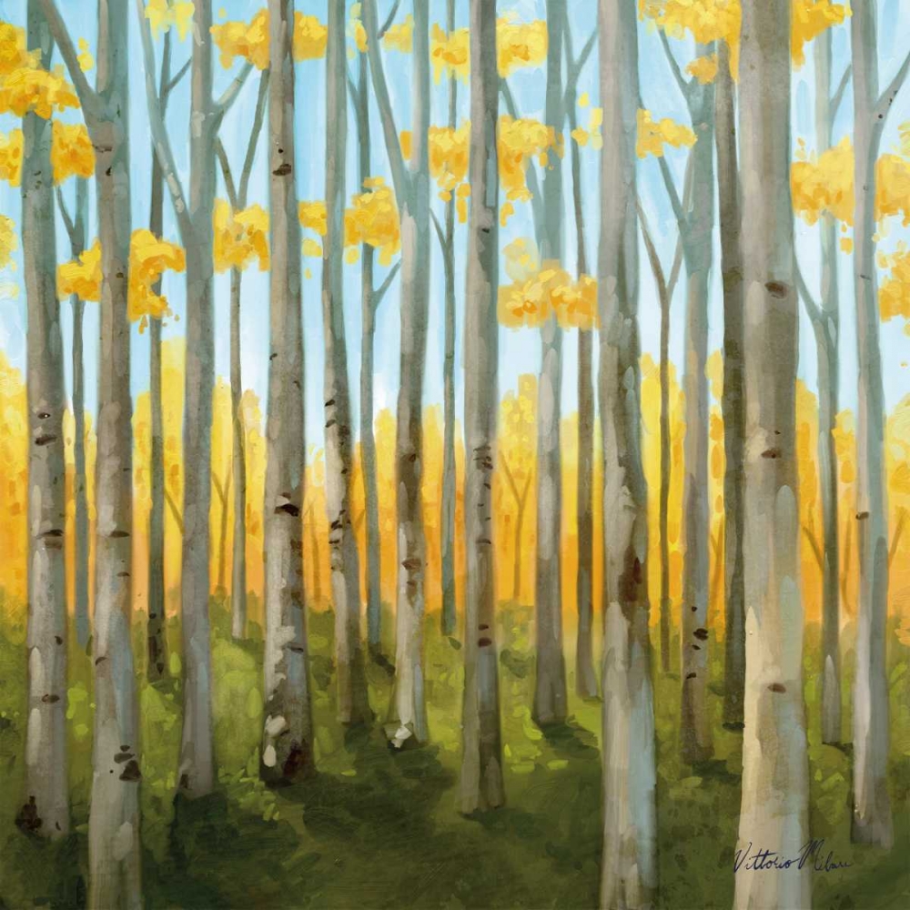Birch Woods II art print by Vittorio Milan for $57.95 CAD