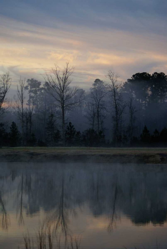 Misty Morning art print by Denise Romita for $57.95 CAD