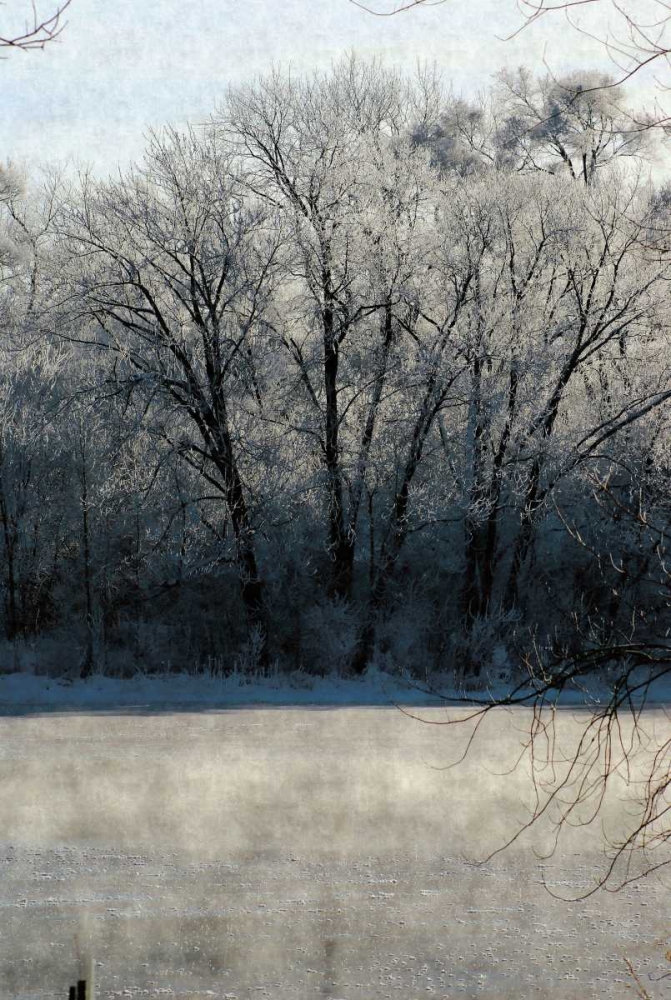 Ice Mist art print by Denise Romita for $57.95 CAD