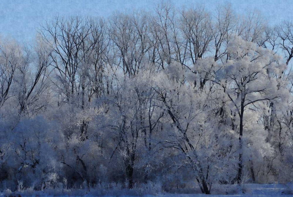 Ice Land art print by Denise Romita for $57.95 CAD
