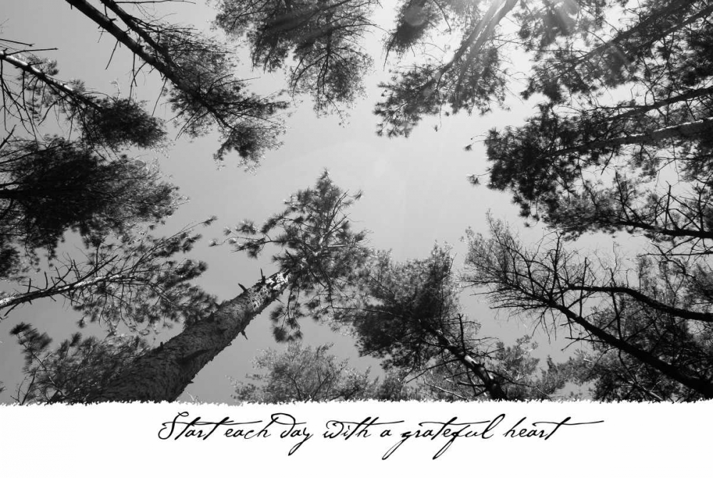 Start Each Day art print by Denise Romita for $57.95 CAD