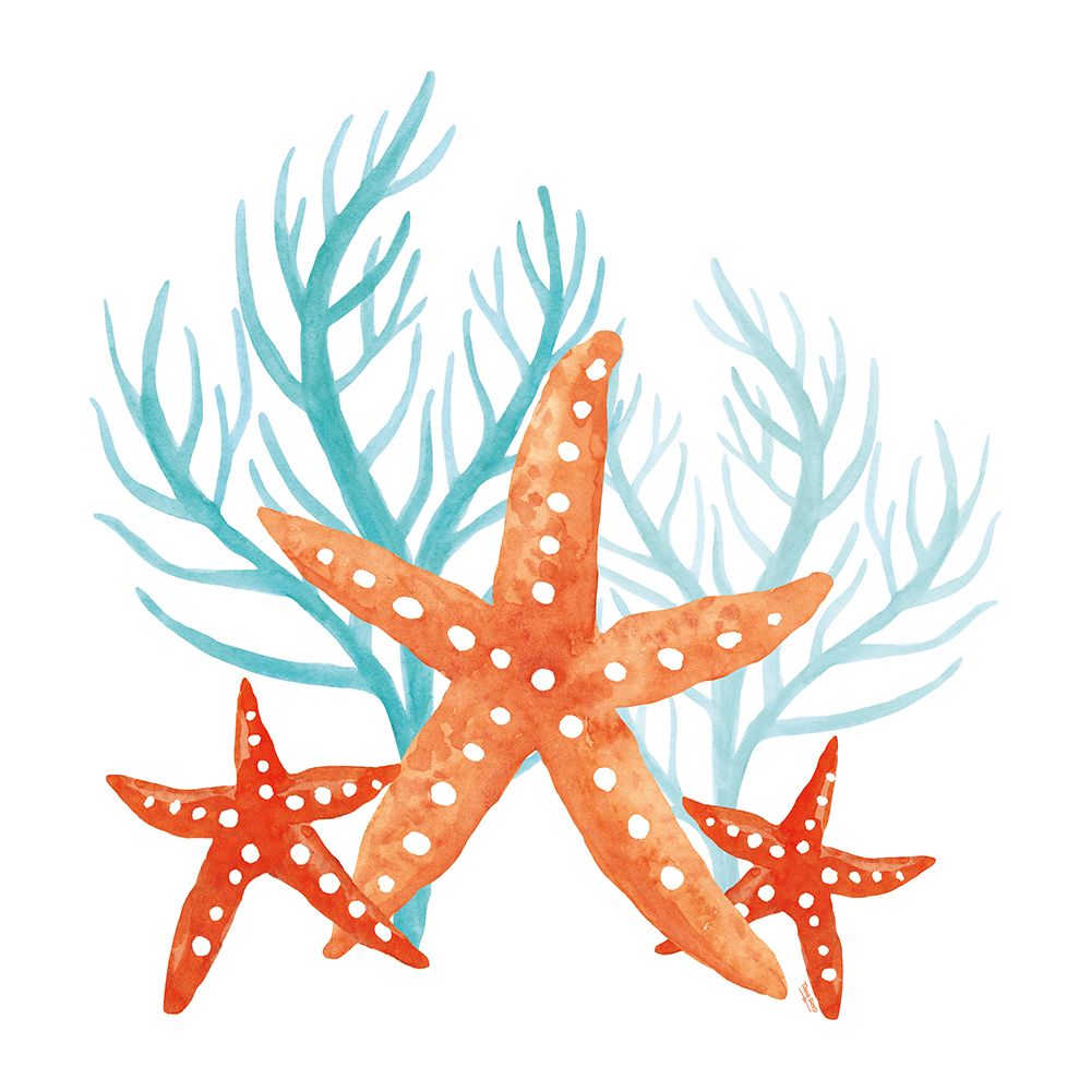Coral Aqua XIV art print by Tara Reed for $57.95 CAD
