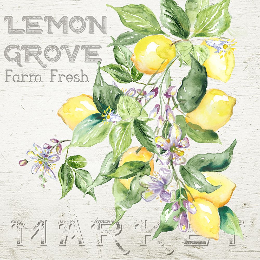 Lemon  Grove II art print by Tre Sorelle Studios for $57.95 CAD