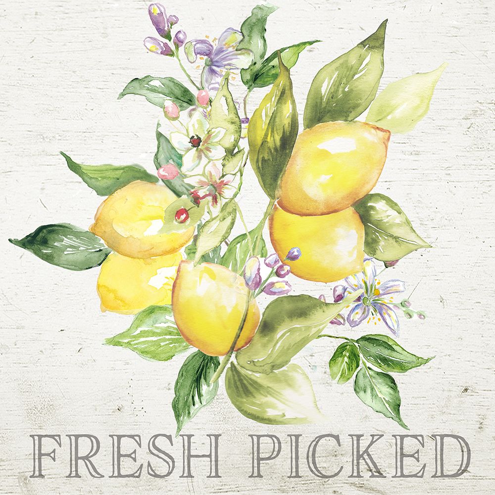 Lemon  Grove III art print by Tre Sorelle Studios for $57.95 CAD