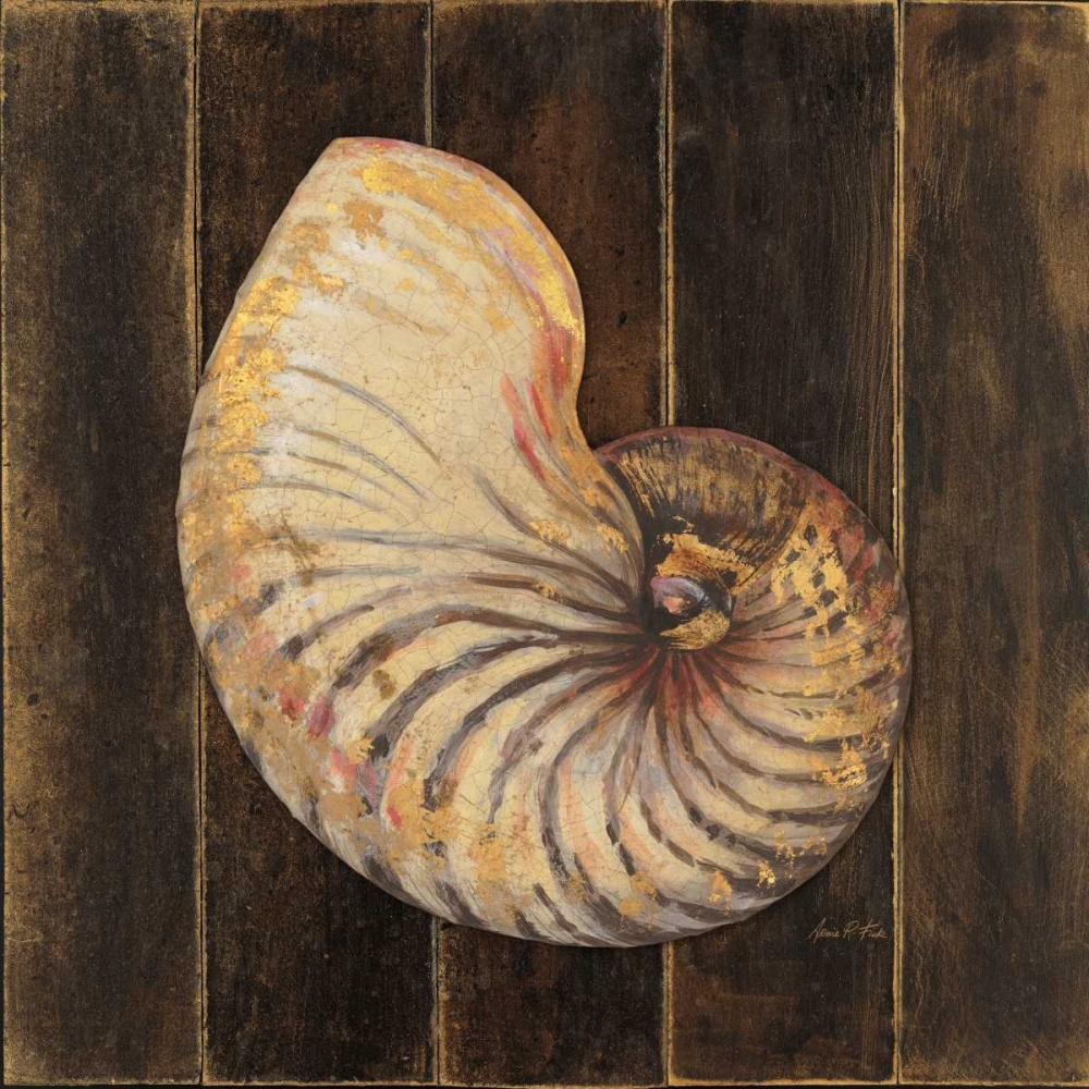 Ocean Nautilus art print by Arnie Fisk for $57.95 CAD