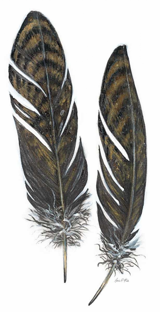 Feather Study 1 art print by Arnie Fisk for $57.95 CAD
