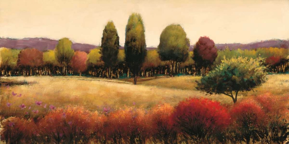 Vista art print by James Wiens for $57.95 CAD