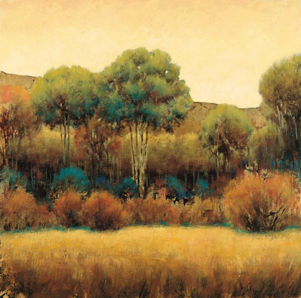 Amber Horizon 1 art print by James Wiens for $57.95 CAD