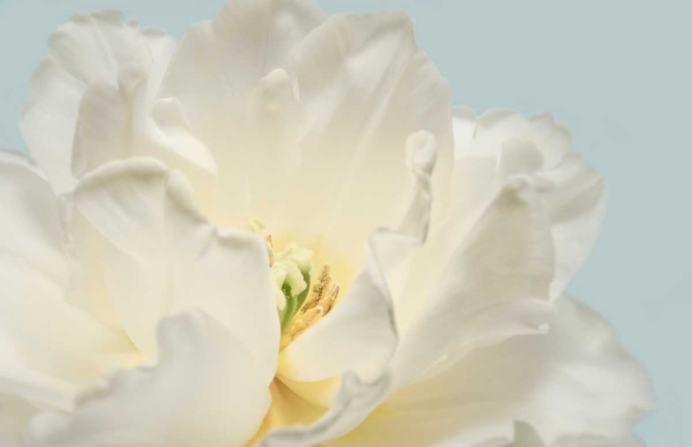 Now Serene art print by Julie Greenwood for $57.95 CAD