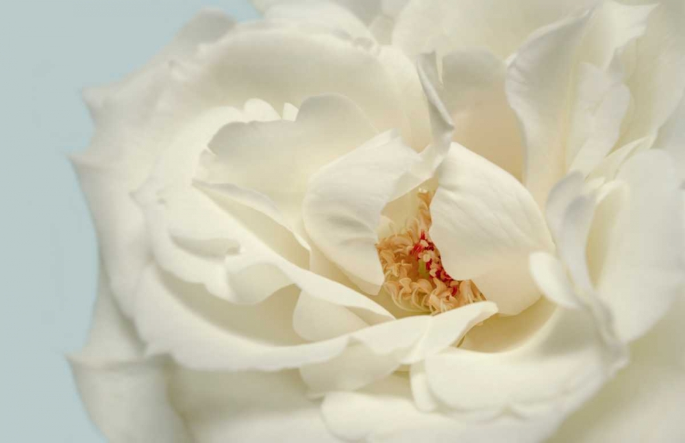 Now Calm art print by Julie Greenwood for $57.95 CAD